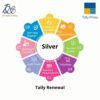 Tally Software Services Silver User
