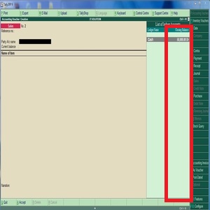 All Ledger Closing Balance TDL in Tally ERP 9