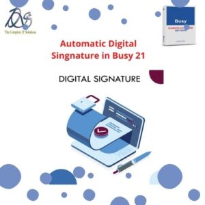 Digital Signatures in Busy Accounting Software