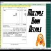 MULTIPLE BANK DETAIL