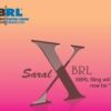Saral XBRL Multi User