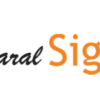 Saral Sign Single User