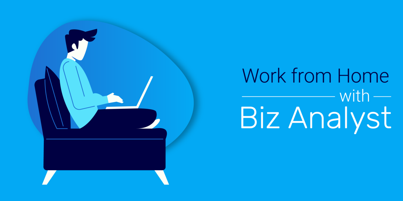 Work from Home with Biz Analyst