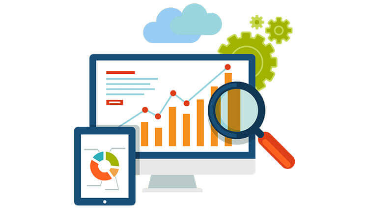 MIS Report: Definition, Types and Example