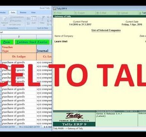 Excel to Tally Single Addon