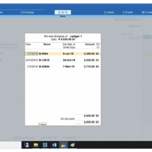 Bill-wise ledger opening balance import TALLY PRIME
