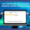 COST CENTRE AND COST CATEGORY FINANCIAL REPORT