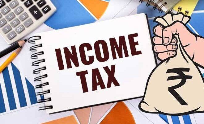 Income Tax Software.1