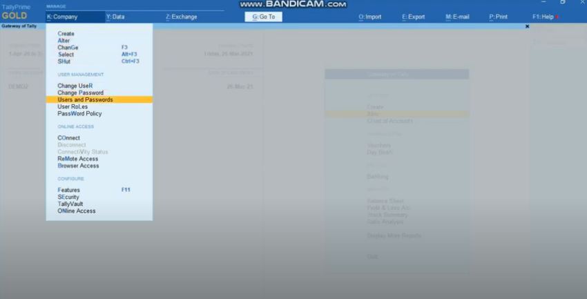 Security-control-access-Tally-ERP9-Prime