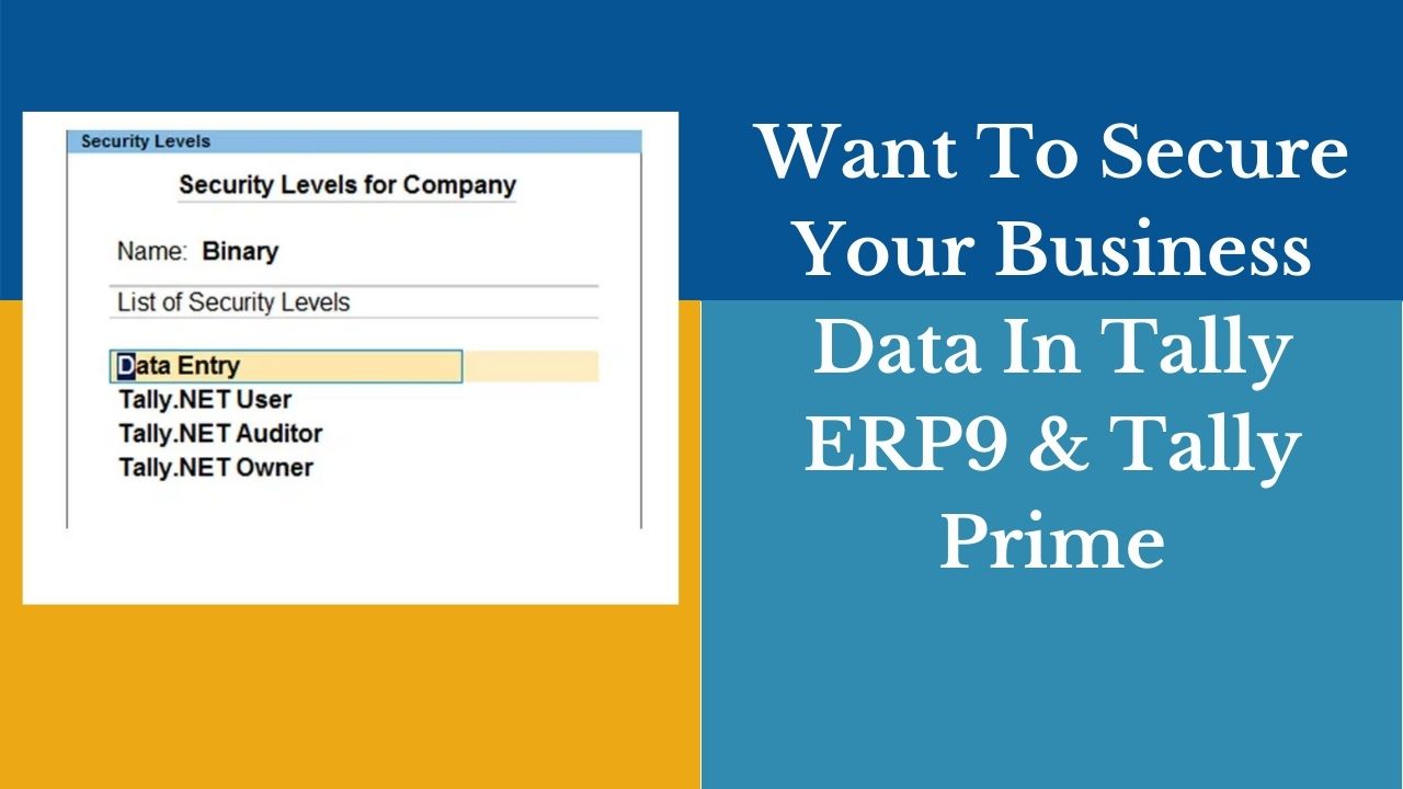 Security-control-access-Tally-ERP9-Prime